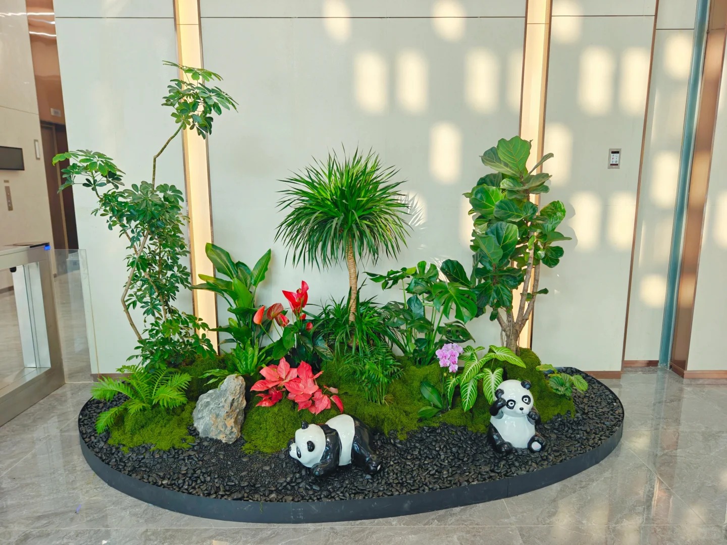 专业北仑花卉出租，让空间瞬间绽放别样生机