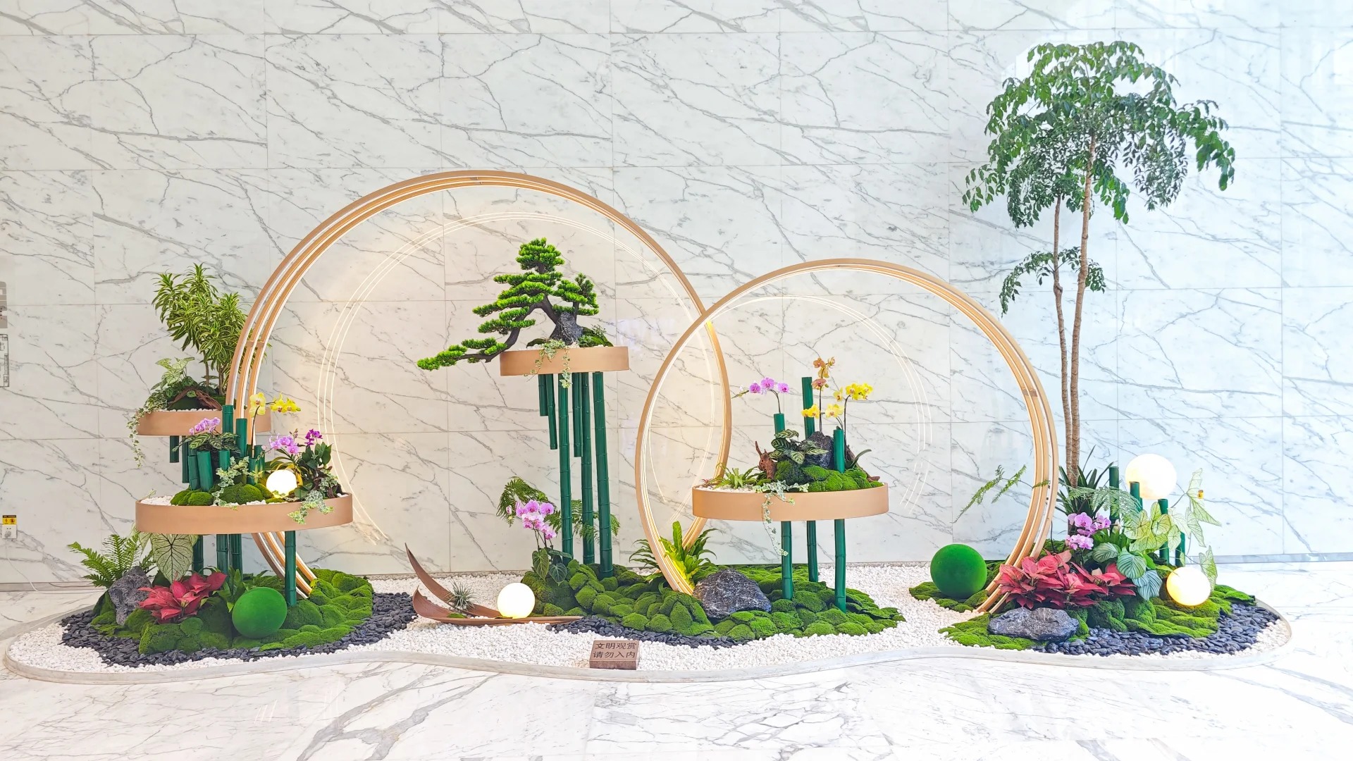 专业花木租赁在余姚，为您定制专属绿色世界