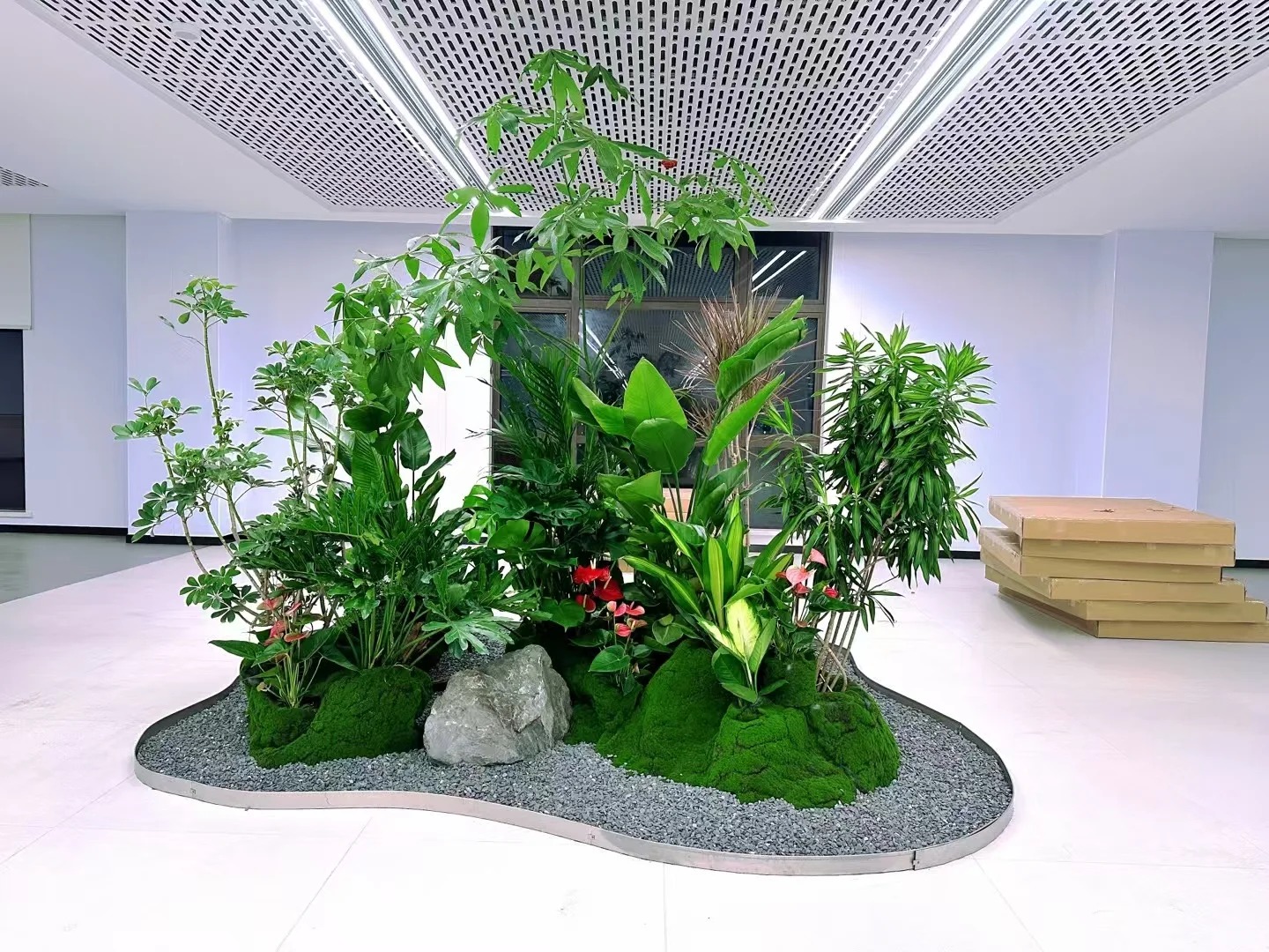 余姚盆景租摆哪家好？资深行家为你揭秘！