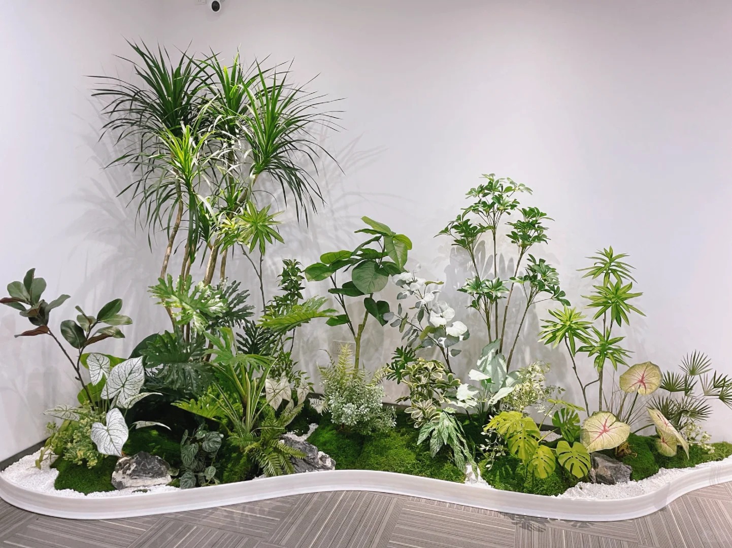 享宁波前湾专业盆景出租，邂逅自然之美